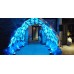 VIP Entrance Tunnel Balloon Arch
